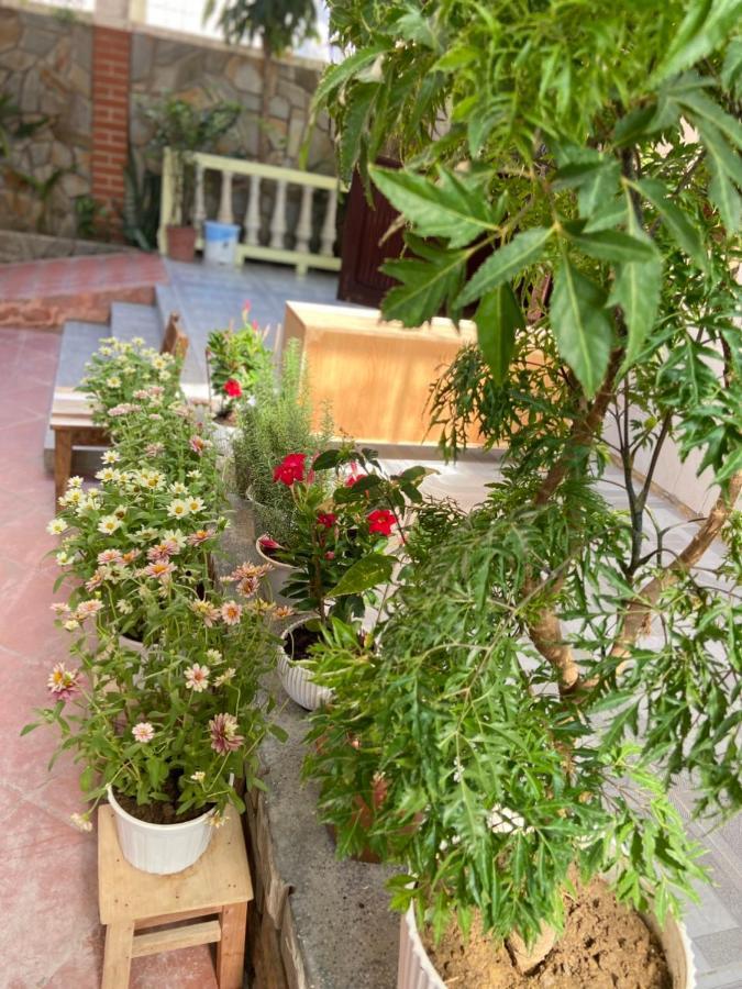 Hidden Hue Homestay Exterior photo